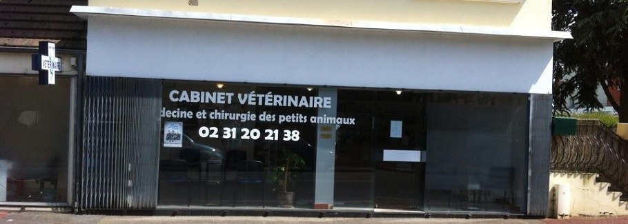 Clinique vétérinaire de la porte d'Auge - Site de Mézidon Vallée d'Auge
